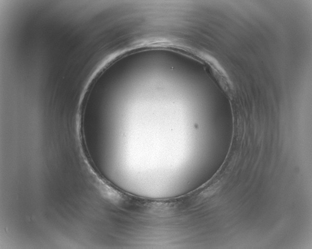 X0000075841424200609291426