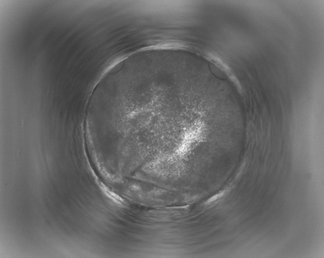 X0000075841425200609291426