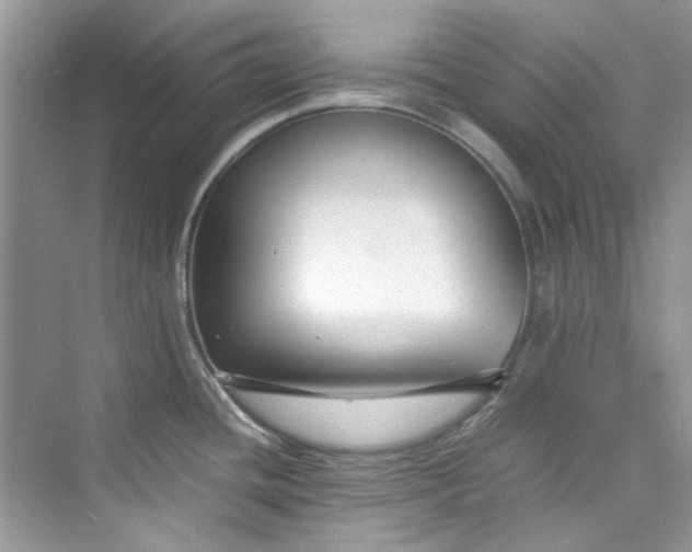 X0000075841436200609291426