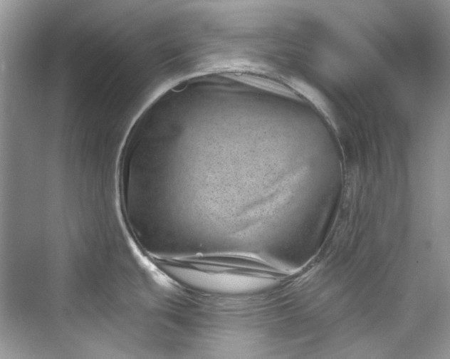 X0000075841439200609291426