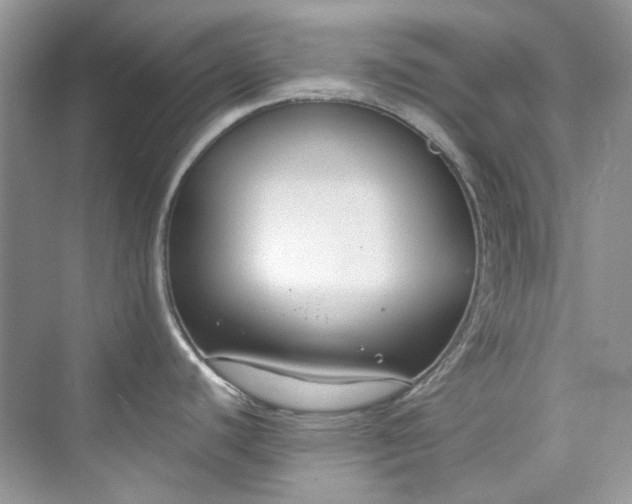 X0000075841440200609291426