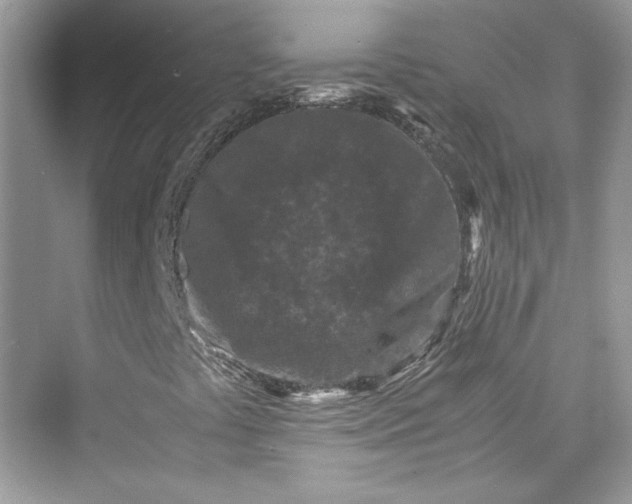 X0000075841441200609291425