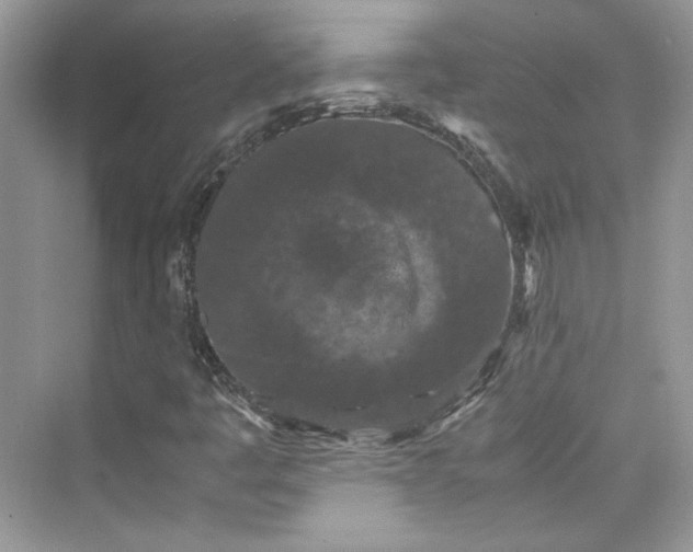 X0000075841445200609291425