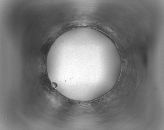 X0000075841446200609291425