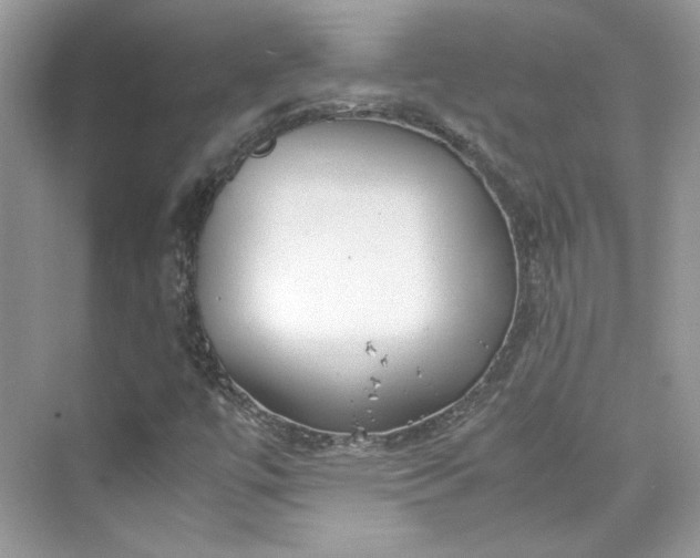 X0000075841447200609291425