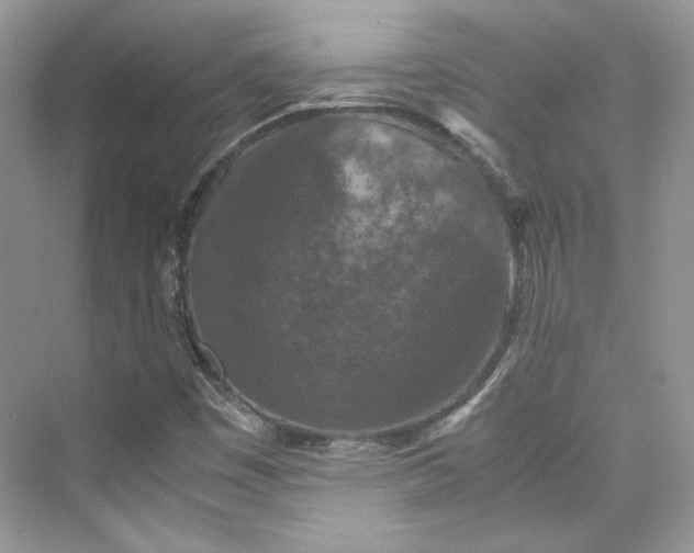 X0000075841449200609291425