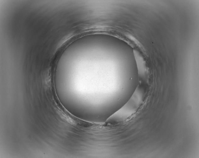 X0000075841450200609291425