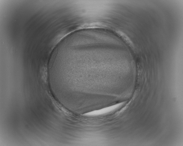 X0000075841457200609291425