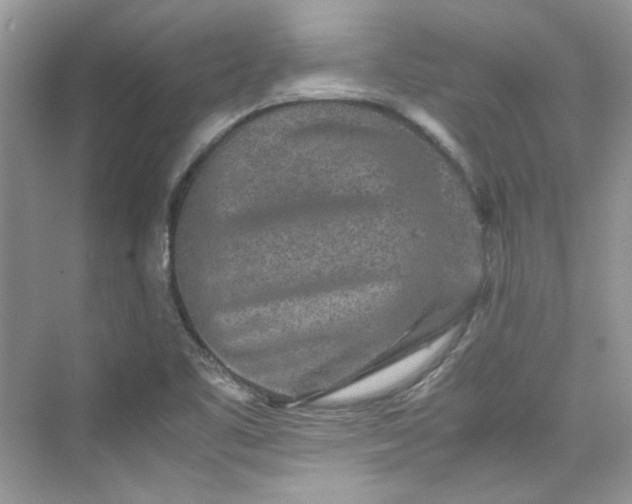 X0000075841461200609291425