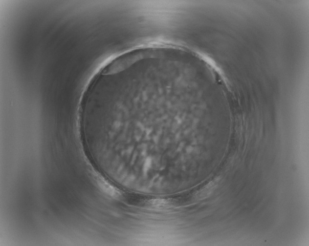 X0000075841463200609291425