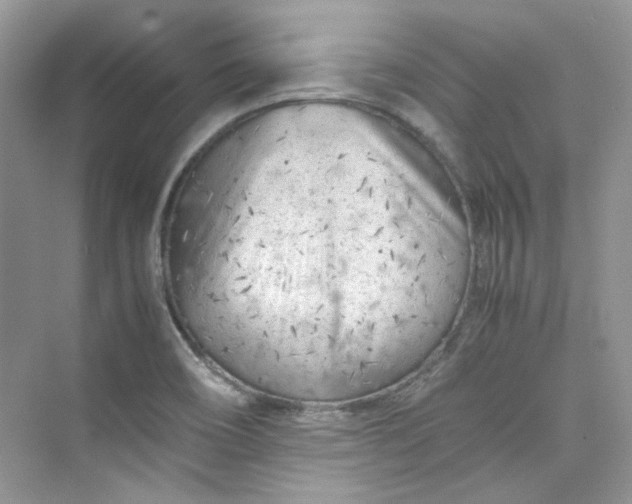 X0000075841466200609291425