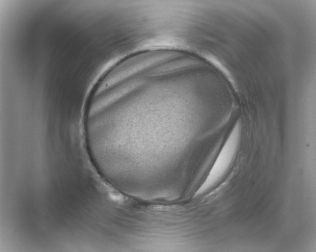 X0000075841469200609291425