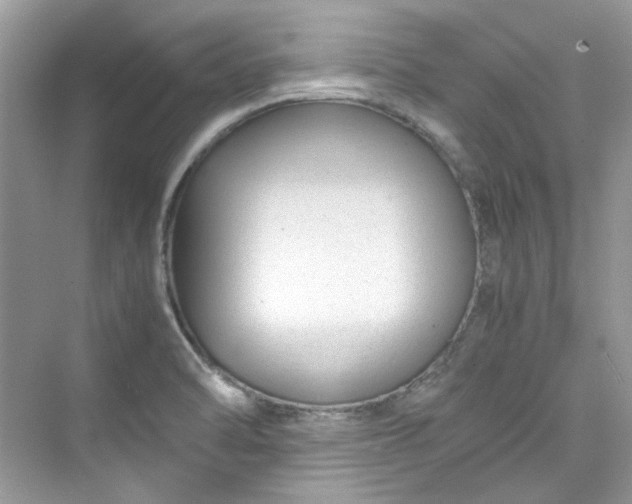 X0000075841470200609291425