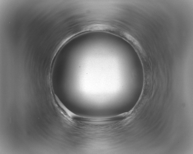 X0000075841473200609291425