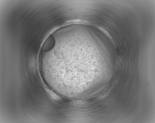 X0000075841474200609291425