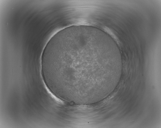 X0000075841479200609291425