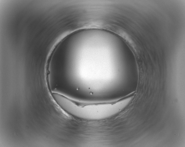 X0000075841480200609291425