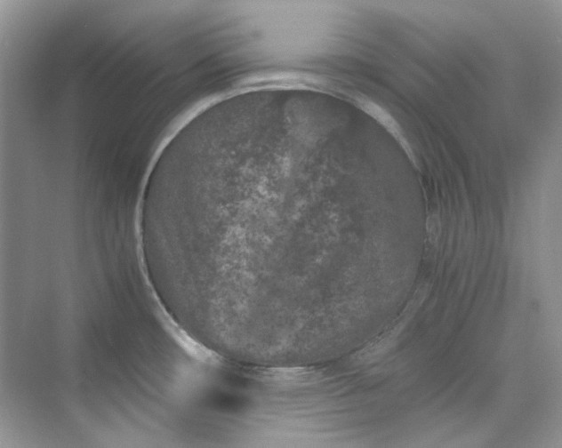 X0000075841482200609291425