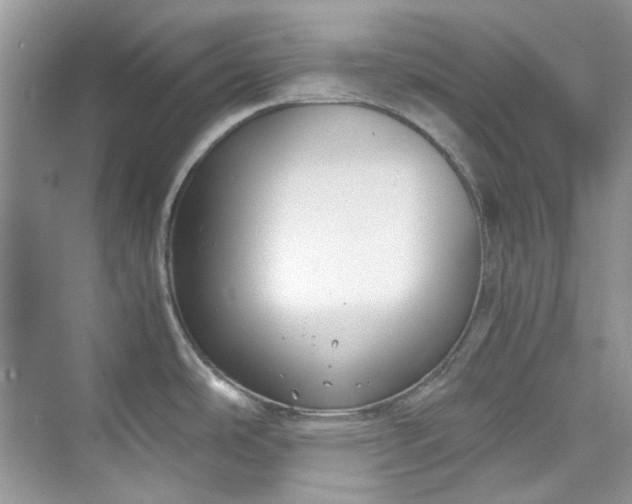 X0000075841486200609291425