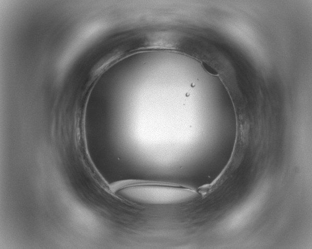 X0000075841487200609291425