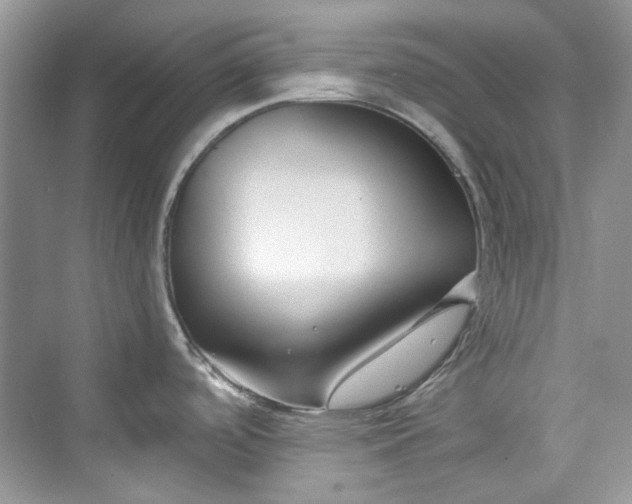 X0000075841488200609291425