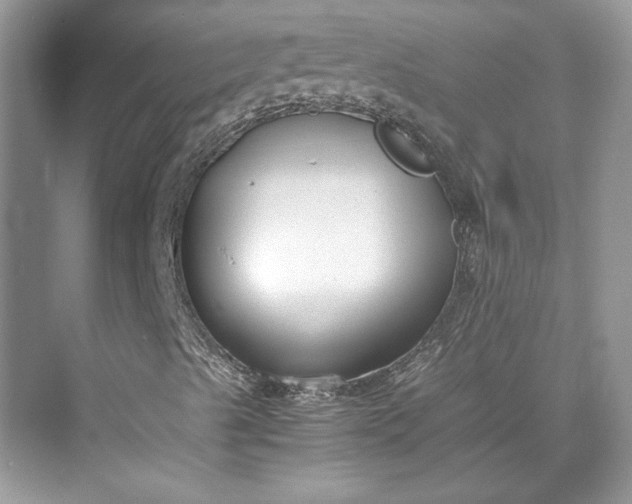 X0000075841489200609291424