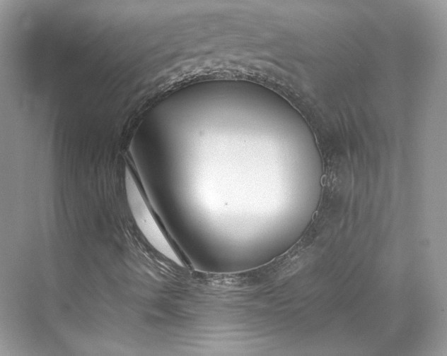 X0000075841490200609291424