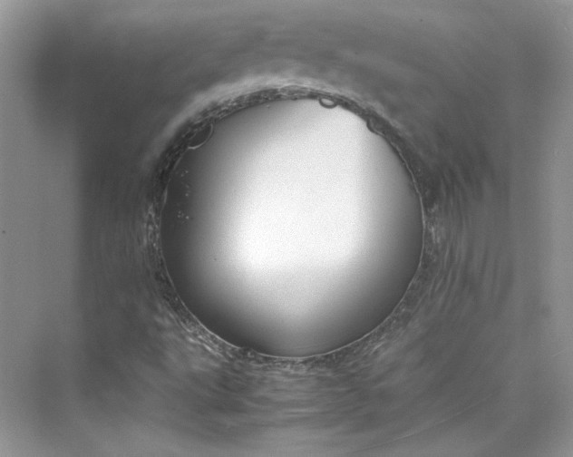 X0000075841495200609291424