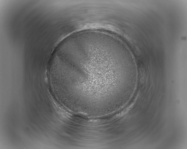 X0000075841497200609291424