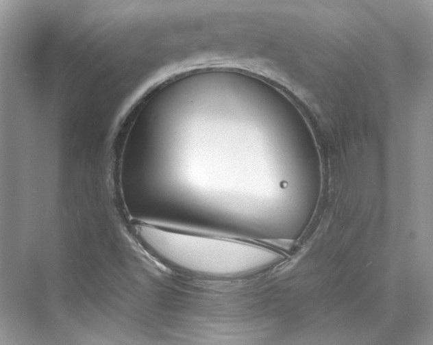 X0000075841502200609291424