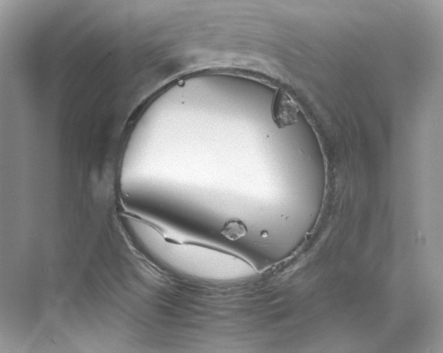 X0000075841505200609291424