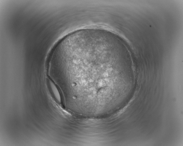 X0000075841506200609291424