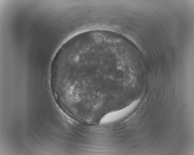 X0000075841508200609291424