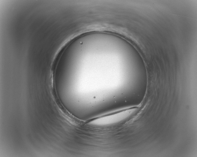 X0000075841509200609291424