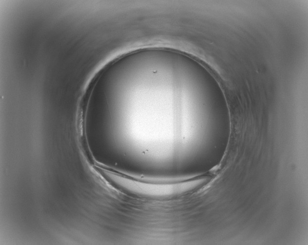 X0000075841510200609291424