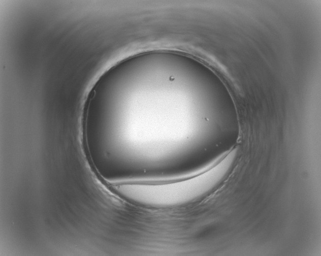 X0000075841512200609291424