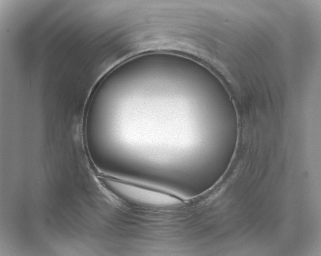 X0000075841513200609291424