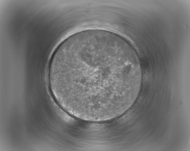 X0000075841514200609291424