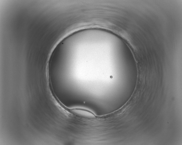 X0000075841516200609291424