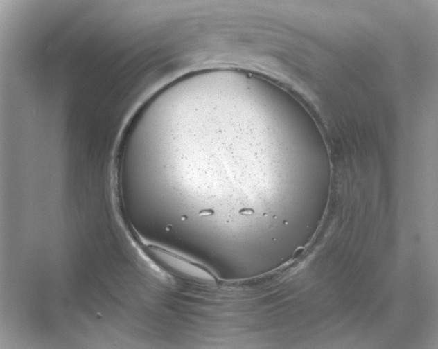 X0000075841517200609291424