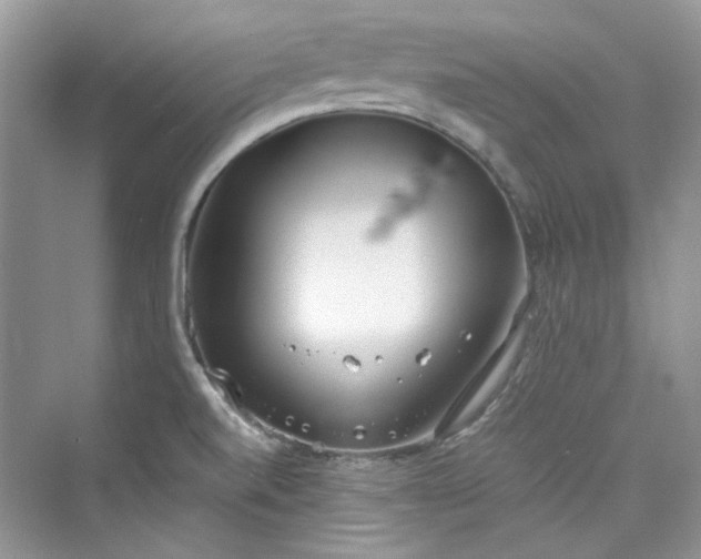 X0000075841520200609291424