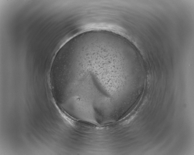 X0000075841521200609291424