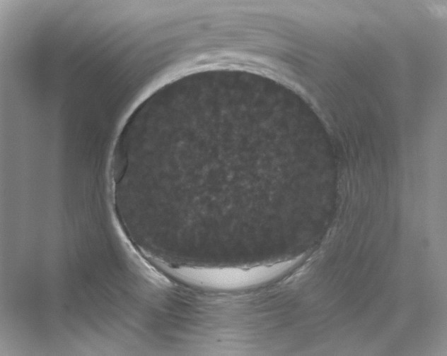 X0000075841522200609291424