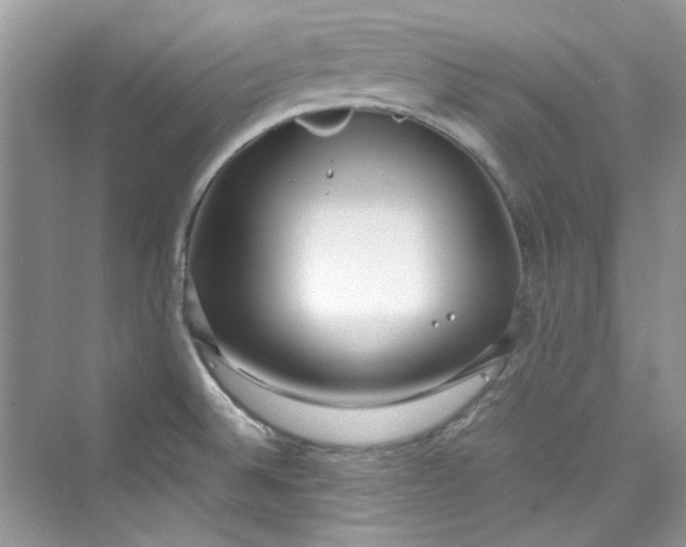 X0000075841524200609291424