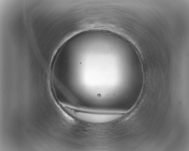 X0000075841525200609291424