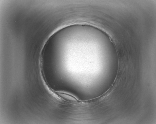 X0000075841526200609291424