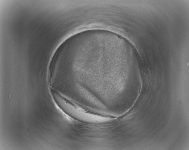 X0000075841527200609291424