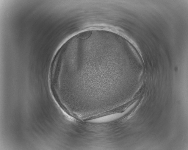 X0000075841533200609291425