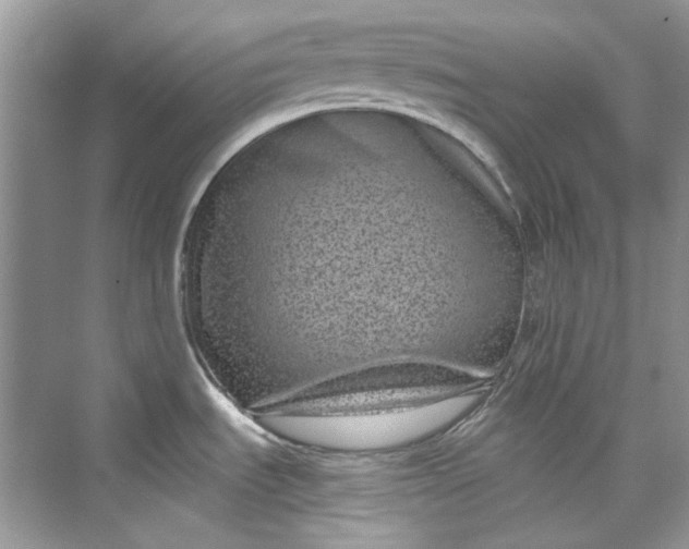 X0000075841535200609291425