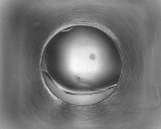 X0000075841536200609291425